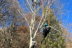 Víkendová dráma na Straníku: Hasiči zachránili paraglidistku uviaznutú na strome