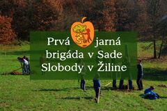 Prvá jarná brigáda v Sade Slobody