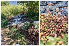 V Stráňavách znovu znečistili okolie starej cesty, jablká môžu prilákať medvede