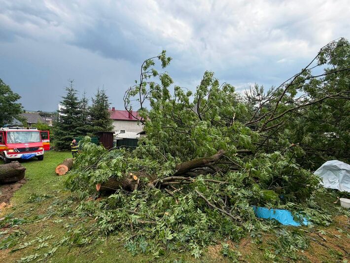 V Ćičmanoch odrezal spadnutý strom občanov od elektriny