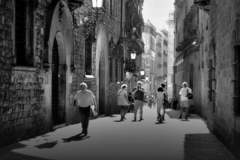 November vo fotografii: Žilinský fotoklub vystavuje v knižnici