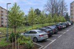 Úpravy zelene na Hlinách V a VII sľubujú stovky nových parkovacích miest