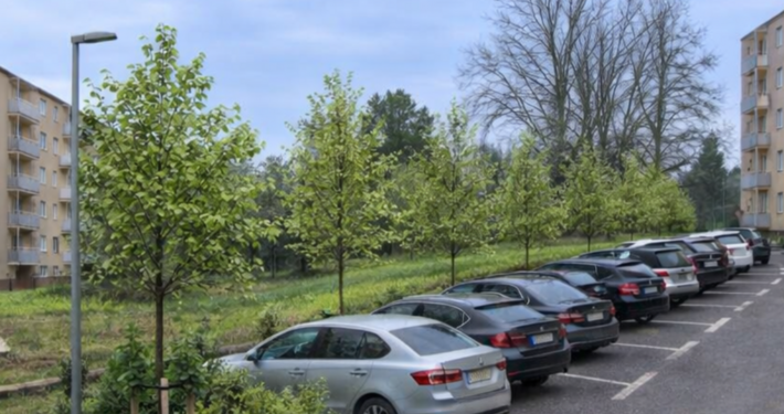 Úpravy zelene na Hlinách V a VII sľubujú stovky nových parkovacích miest