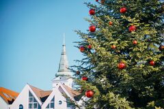 Mesto Žilina predstavilo vianočný stromček pre Vianoce 2025