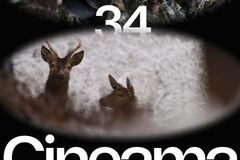 Od nápadu k plátnu: Cineama 2026 predstaví novú generáciu filmárov v Žiline