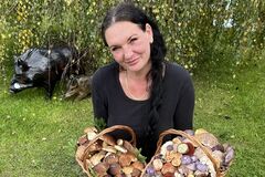 Nie je to len o hríboch: Vášnivá hubárka ukazuje farebný a nepoznaný svet húb