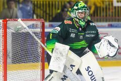 Connor LaCouvée naďalej v drese Vlkov