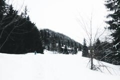 Záver roka v pohybe: Silvester a Nový rok opäť lákajú turistov na vrcholy Žilinského regiónu