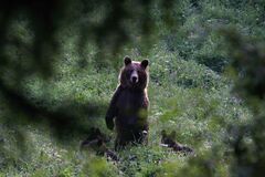 Malá Fatra hľadá najkrajšie fotografie. Národný park vyhlásil súťaž pre milovníkov prírody