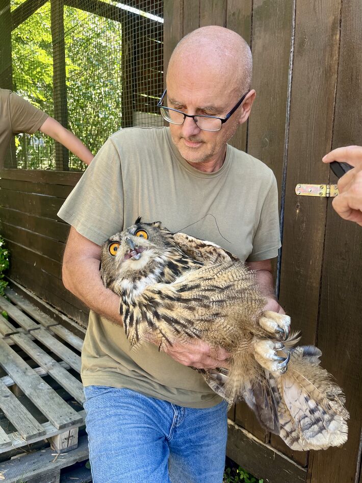 Ornitológ Ján Korňan so zachránenou samicou výra skalného.