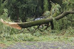 Krúpy veľké ako orechy, popadané stromy aj odtrhnuté strechy. Búrka ochromila Žilinu a napáchala škody v celom kraji