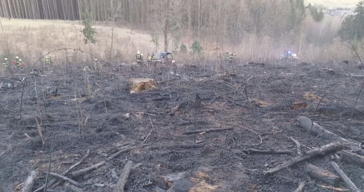 Plamene pohltili lesnú škôlku v Zádubní: hasiči bojujú s požiarom na veľkej ploche