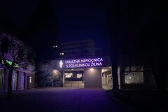 Purpurová pre najmenších bojovníkov. Pripomíname si Svetový deň predčasne narodených detí