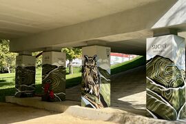 Mostné stĺpy na Vlčincoch sa zmenili na turistického sprievodcu – fotogaléria