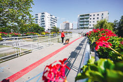 Žilina rozširuje mestskú zeleň. Pribudnú stromy, kríky aj kvetinové lúky