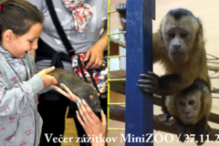 Večer zážitkov v žilinskej MiniZOO