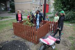 Na Bratislavskej zasadili Lipu priateľstva, rómski aktivisti sa snažia kultivovať okolie