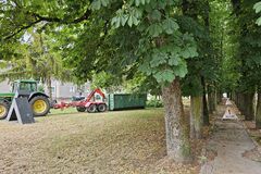 Kvitnúce lúky a upravená alej prinesú do Bytče viac zelene a biodiverzity