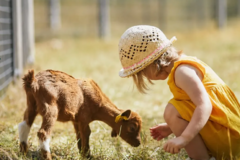 Na Farme Vrátna čaká návštevníkov deň plný zvieratiek, jázd na koni aj rodinnej zábavy