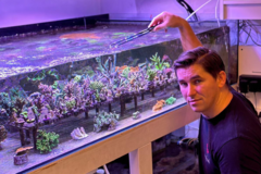 Netradičná záľuba: Ján z Nižných Kamencov chová doma morské koraly