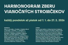Zber vianočných stromčekov v Žiline potrvá do konca februára