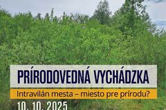 Intravilán mesta – miesto pre prírodu?