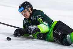 Vlci zostali pred bránami semifinále po šiestich zápasoch: Stopku im vystavil Poprad