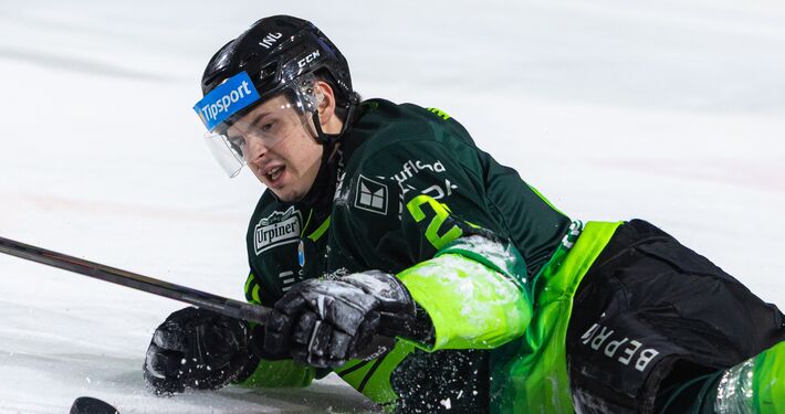 Vlci zostali pred bránami semifinále po šiestich zápasoch: Stopku im vystavil Poprad