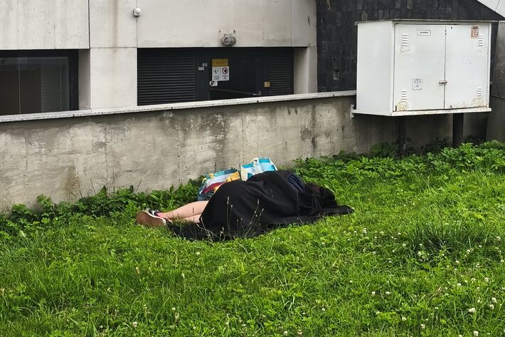 Aj takýto pohľad sa v lete naskytá v centre mesta. 