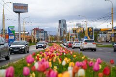 Žilinu čaká jar plná kvetov. Mesto rozšíri záhony trvaliek aj kvetinové lúky 