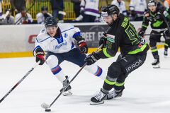 V pohári parádna otočka Vlkov proti odvekému rivalovi