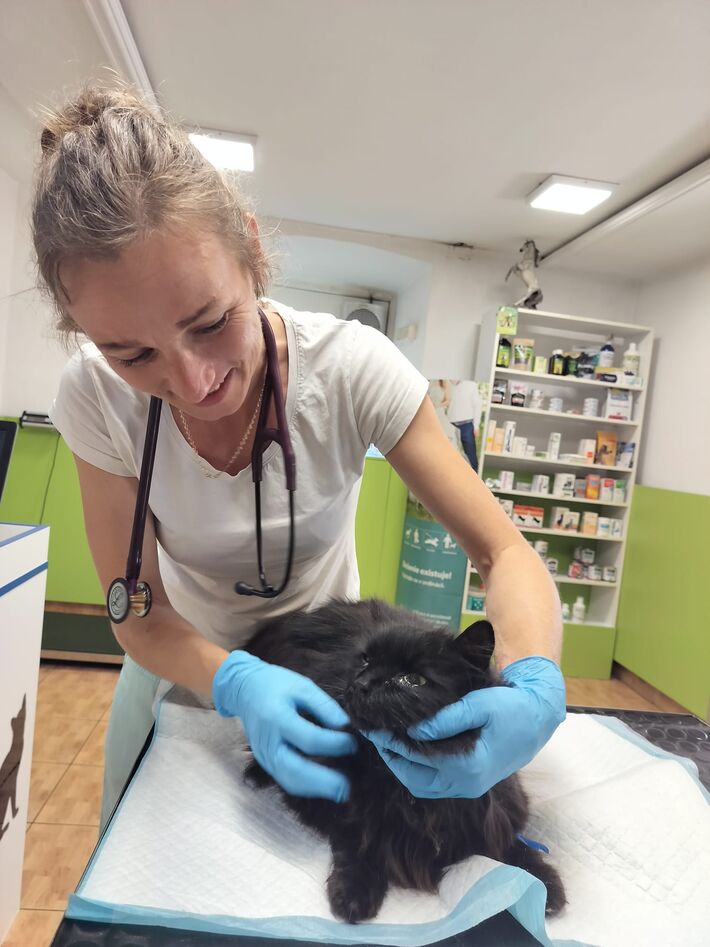 Veterinárka Beáta Schatz Filová.