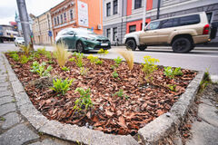 V meste pribúda nová zeleň, obnovujú sa trávniky, parky a dreviny