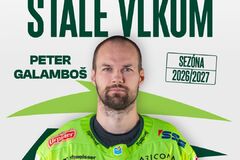 Skúsený center Peter Galamboš zostáva súčasťou kádra Vlkov