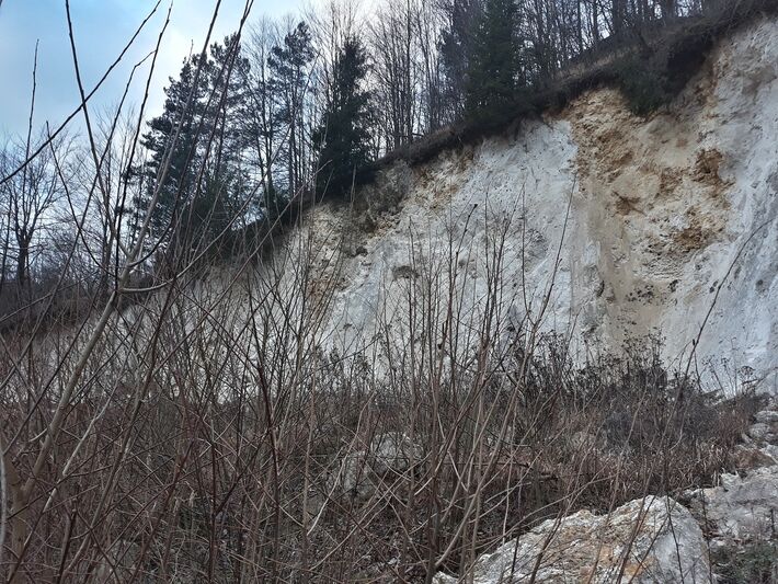 Hniezdna stena brehule riečnej pred zásahom