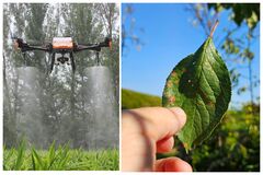 Obec Kamenná Poruba vyzýva ľudí, aby nekonzumovali ovocie a zeleninu zo zasiahnutej oblasti