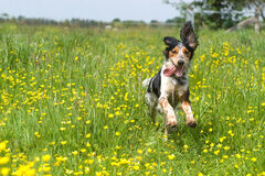 Žilina začína doručovať rozhodnutia k miestnym daniam