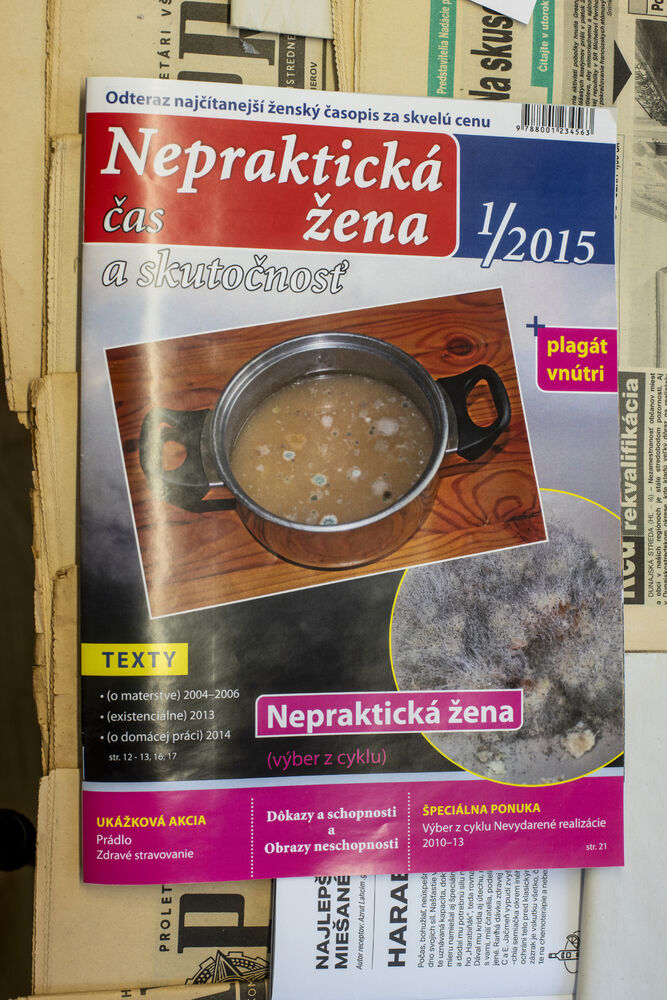 autorka: Danka Sochorová 