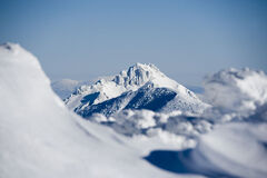Oblastná organizácia cestovného ruchu Malá Fatra:  Motor rozvoja turizmu v srdci severného Slovenska