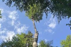 Poľský paraglajdista uviazol 25 metrov nad zemou. V Malej Fatre ho zachraňoval vrtuľník