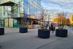 Názory na nové kvetináče v centre sa rôznia, prekážajú najmä peším  
