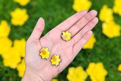 Deň narcisov na Slovensku už 30 rokov