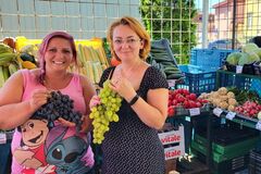 Ceny ovocia aj zeleniny stúpli, najviac zdražela paprika