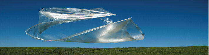 Igelit I – II, 2006, 150 x 40 cm