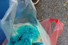 Inšpektori potvrdili nebezpečnú baktériu v syrových výrobkoch