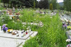 Na cintorínoch sa kosí málo, ľudí to trápi