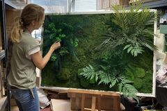 PERIDA prináša firmám jedinečný koncept: Vytvorte si vlastnú machovú stenu pod odbornou asistenciou